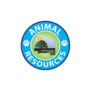 animal-rescue